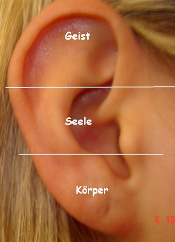 11. Körper-Seele-Geist + 11. Körper-Seele-Geist +